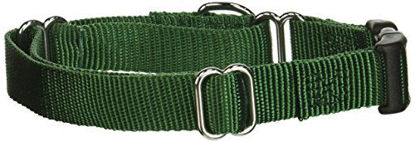 Picture of GoGo Pet Products GoGo 3/4-Inch Martingale Dog Collar, Medium, Hunter Green