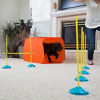 Picture of Outward Hound ZipZoom Indoor Dog Agility Training for Dogs