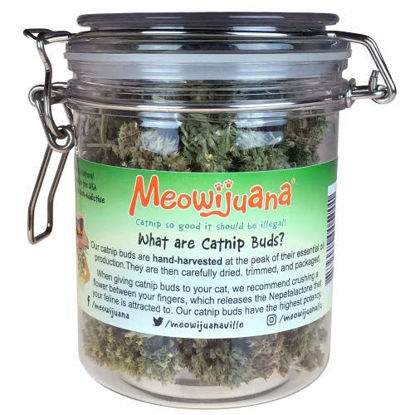 Picture of Meowijuana Jar of Buds - Large Jar