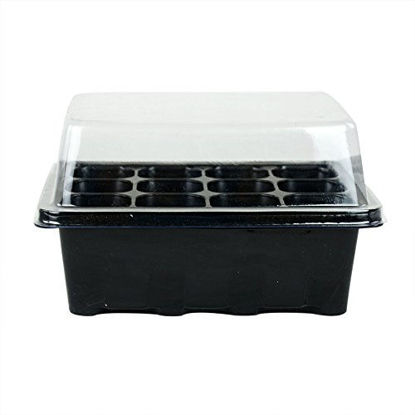 Picture of 3 Sets of Plant Seedling Starting 12 Cells per Trays Starter Kit Box with Dome