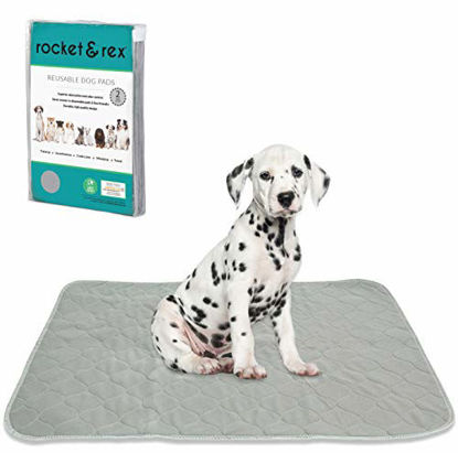 KOOLTAIL Dog Mat for Food and Water Bowls 2 Pack Waterproof Pet