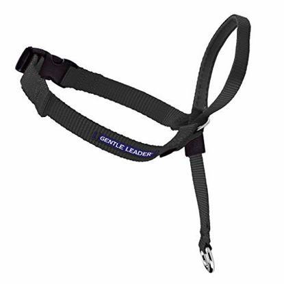 Picture of PetSafe Gentle Leader Head Collar with Training DVD, LARGE 60-130 LBS., BLACK