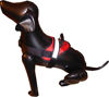 Picture of HDP Big Dog Soft No Pull Harness Size:Large Color:Black
