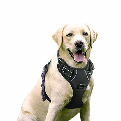 Picture of rabbitgoo Dog Harness, No-Pull Pet Harness with 2 Leash Clips, Adjustable Soft Padded Dog Vest, Reflective No-Choke Pet Oxford Vest with Easy Control Handle for Large Dogs, Black, L, Chest 20.5-36"