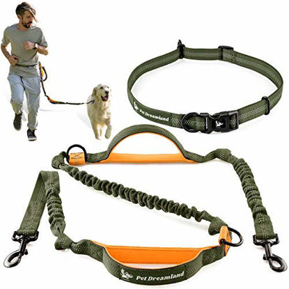 Picture of Pet Dreamland Hands Free Leash for Running Large Dogs - Waist Dog Leash - Professional Shock Absorbing Bungee Harness - Reflective Dog Running Belt