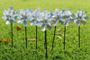Picture of Bird Blinder Repellent PinWheels - Sparkly Holographic Pin Wheel Spinners Scare Off Birds and Pests (Set of 8) - Pre-Assembled