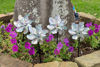Picture of Bird Blinder Repellent PinWheels - Sparkly Holographic Pin Wheel Spinners Scare Off Birds and Pests (Set of 8) - Pre-Assembled