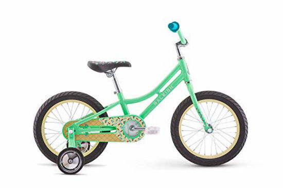 Raleigh kids sales bike