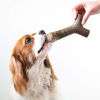 Picture of Benebone Maplestick Real Wood Durable Dog Chew Toy, Made in USA, Medium