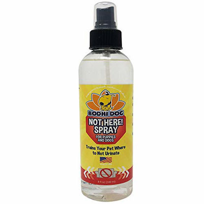 Picture of Bodhi Dog Not Here! Spray | Trains Your Pet Where Not to Urinate | Repellent & Training Corrector for Puppies & Dogs | for Indoor & Outdoor Use | No More Marking | Made in The USA