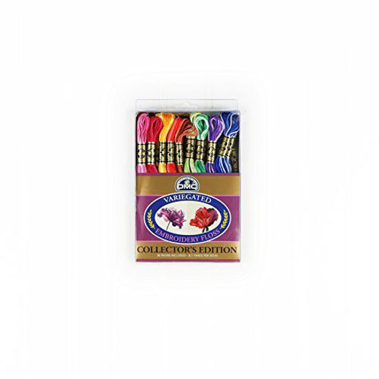 Picture of DMC F25PK36 Variegated Embroidery Floss, Assorted, 36-Pack
