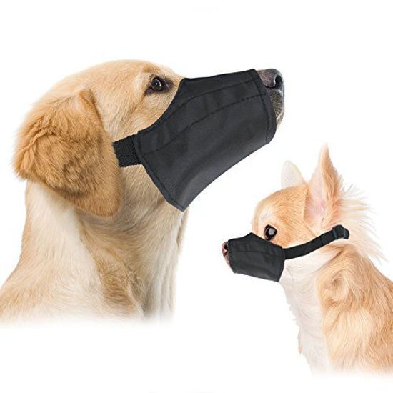 Measuring a dog for high quality a muzzle