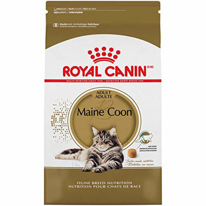 Picture of Royal Canin Maine Coon Breed Adult Dry Cat Food, 6 lb.