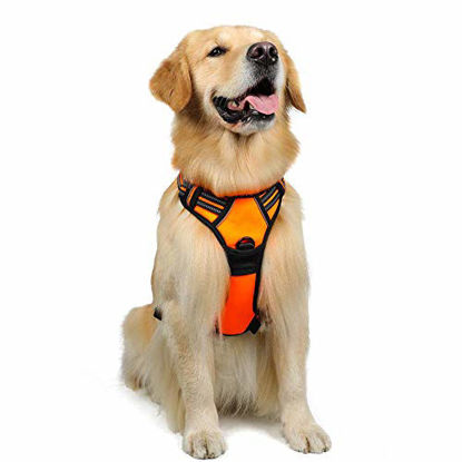 Picture of rabbitgoo Dog Harness,No-Pull Pet Harness with 2 Leash Clips,Adjustable Soft Padded Dog Vest,Reflective No-Choke Pet Oxford Vest with Easy Control Handle for Large Breeds,Orange (L, Chest 20.5-36")