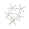 Picture of LJY 25 Pieces 3.15 Inches White Resin Pencil Finger Starfish for Wedding Home Decor and Craft Project
