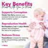 Picture of Pink Stork Fertility Tea, 100% Organic, 30 Cups, Mint