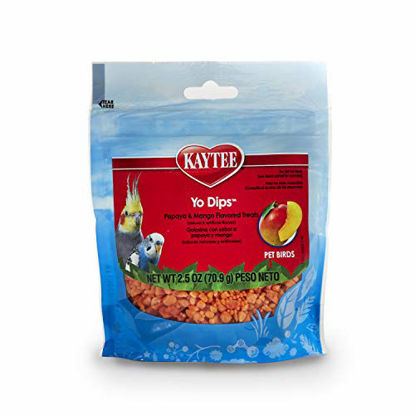Picture of Kaytee Mango Flavored Yogurt Dipped Papaya Treats For All Pet Birds, 2.5-Oz Bag