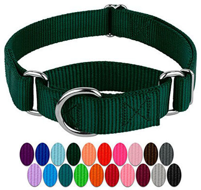 Picture of Country Brook Petz - Green Martingale Heavy Duty Nylon Dog Collar - 21 Vibrant Color Options (1 Inch Width, Large)