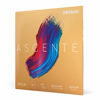 Picture of D'Addario Ascenté Violin String Set, 4/4 Scale, Medium Tension
