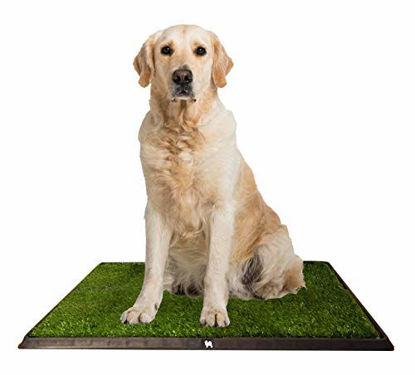 Picture of Puppy Potty Grass Toilet Trainer Tray for Dogs and Puppies Large 20 x 25 Inch. Training Grass Pee Pad For Indoor, Outdoor Use, Porches, Apartments and Houses Grass Turf Mat