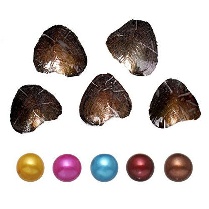 Picture of 5 PC Freshwater Cultured Pearl Oyster with Pearl Inside (Round Shape) (7-8mm)