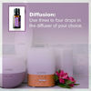Picture of doTERRA - Lavender Essential Oil - 15 mL