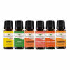 Picture of Plant Therapy Essential Oils Fruits Set - Grapefruit, Tangerine, Lemon, Mandarin, Lime, Orange Sweet 100% Pure, Undiluted, Natural Aromatherapy, Therapeutic Grade 10 mL (1/3 oz)