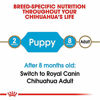 Picture of Royal Canin Chihuahua Puppy Breed Specific Dry Dog Food, 2.5 lb. bag