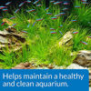 Picture of API AQUARIUM START UP PACK Water Conditioner 1.25-Ounce Bottle 2-Pack