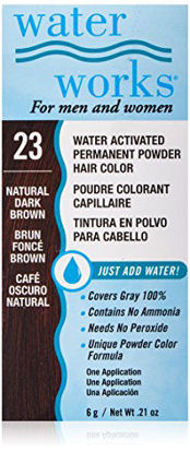 Picture of Water Works Water Activated Permanent Powder Hair Color for Men and Women, 23 Natural Dark Brown