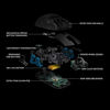 Picture of Logitech G Pro Wireless Gaming Mouse with Esports Grade Performance
