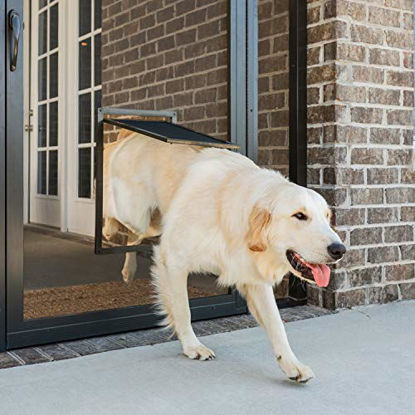 Picture of PetSafe Pet Screen Door - Dog and Cat Flap for Screen Door, Large, Window, Storm Door and Porch Use