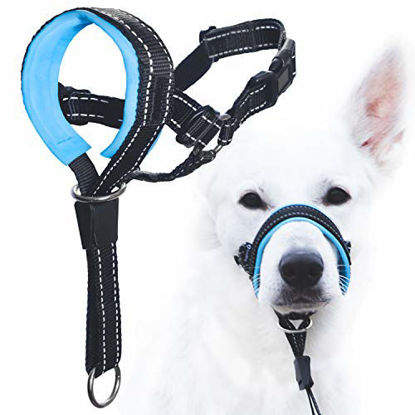 Picture of GoodBoy Dog Head Halter with Safety Strap - Stops Heavy Pulling On The Leash - Padded Headcollar for Small Medium and Large Dog Sizes - Head Collar Training Guide Included (Size 3, Blue)