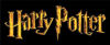 Picture of Harry Potter Sorting Hat, Brown