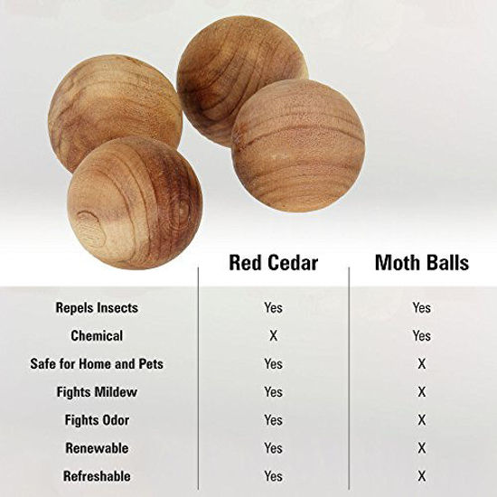 GetUSCart CedarFresh 178401 Red Cedar Wood Balls Freshen and Protect Closets 40Pack