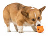 Picture of West Paw Zogoflex Toppl Treat Dispensing Dog Toy Puzzle - Interactive Chew Toys for Dogs - Dog Toy for Moderate Chewers, Fetch, Catch - Holds Kibble, Treats, Small, Granny Smith
