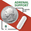 Picture of Adrenal Support - Cortisol Manager - A Complex Formula containing Rhodiola Rosea, Vitamin B12, B5, B6, Magnesium, Ginger Root Extract, Ashwagandha, Schizandra Berry, Licorice and More - Vegetarian