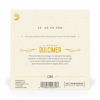 Picture of D'Addario EJ64   4-String Dulcimer Strings