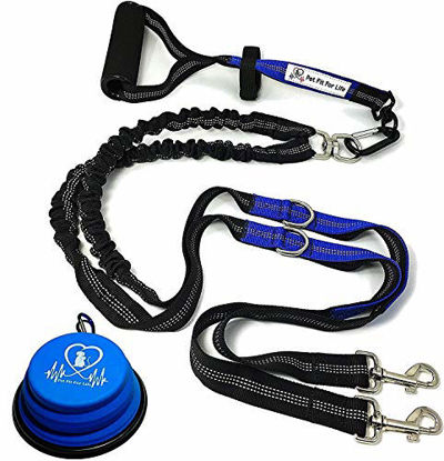 Picture of Pet Fit For Life 64" Premium Dual Dog Leash with Comfortable Soft Grip Foam Rubber Handle and Integrated Shock Absorbing Bungee + Bonus Collapsible Water Bowl for Medium to Large Dogs