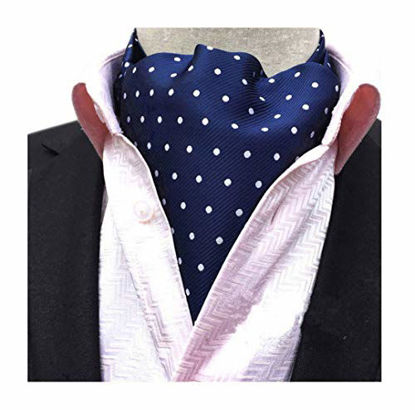 Picture of Secdtie Men's Blue Striped Polka Dot Silk Cravat Woven Ascot Jacquard Ties 017