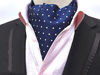 Picture of Secdtie Men's Blue Striped Polka Dot Silk Cravat Woven Ascot Jacquard Ties 017