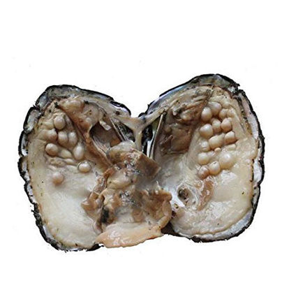 Picture of Cultured Pearls in Oysters,Cultured Freshwater Pearl Oysters with Pearls Inside Big Oyster Pearls in Oyster Anniversary Decoration for Women(5-7mm)(1 PC)