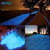 Picture of chic style 300pcs Glow in The Dark Garden Pebbles, Gardening Luminous Glow Stones Outdoor Decor Glowing Water Fish Tank Gravel (Blue)