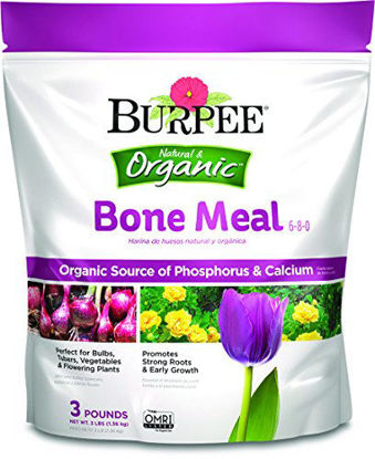Picture of Burpee Organic Bone Meal Fertilizer, 3 lb (1 Pack)