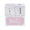 Picture of Baby Aspen My First Milestone Princess Age Blocks | Baby Picture Props for Photo Sharing The First Year