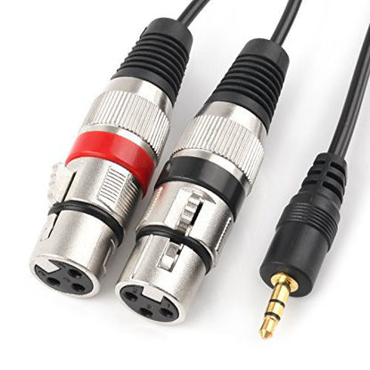 3.3 FT TISINO 3.5mm to Dual XLR Stereo Cable 1/8 inch Mini Jack to 2 XLR Male Y Splitter Adapter Cord 