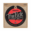 Picture of D'Addario EJ47 80/20 Bronze Pro-Arte Nylon Classical Guitar Strings, Normal Tension