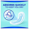 Picture of Always Maxi Unscented Pads without Wings, Regular, 48 Count