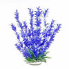 Picture of AquaTop ATP Plnt Bacopa Bl/Wh 12in