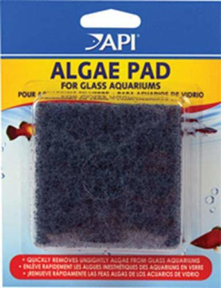 Picture of (3 Pack) API Hand Held Algae Pad - Glass